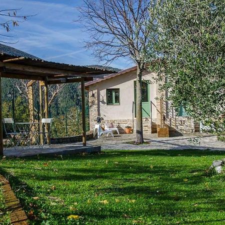 Le Voltarelle Bed & Breakfast Serra San Quirico Zewnętrze zdjęcie